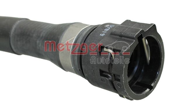 Radiator Hose (2420007)