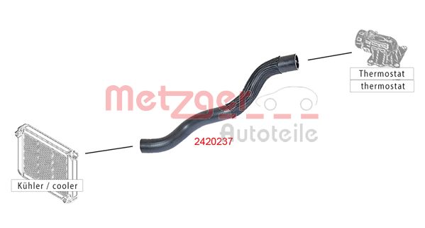 Radiator Hose (2420237)