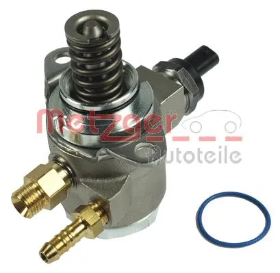High Pressure Pump (2250144)
