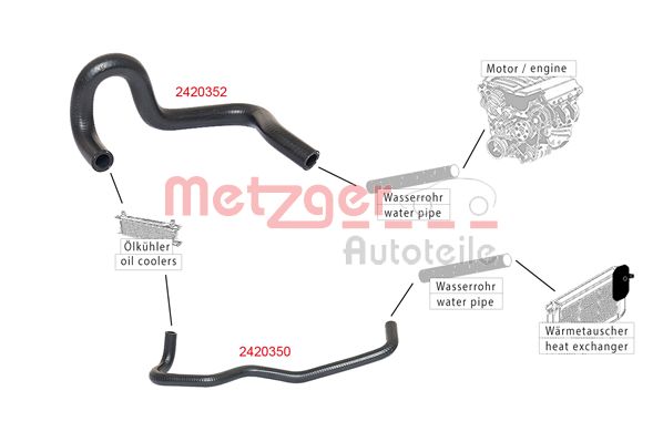 Radiator Hose (2420352)