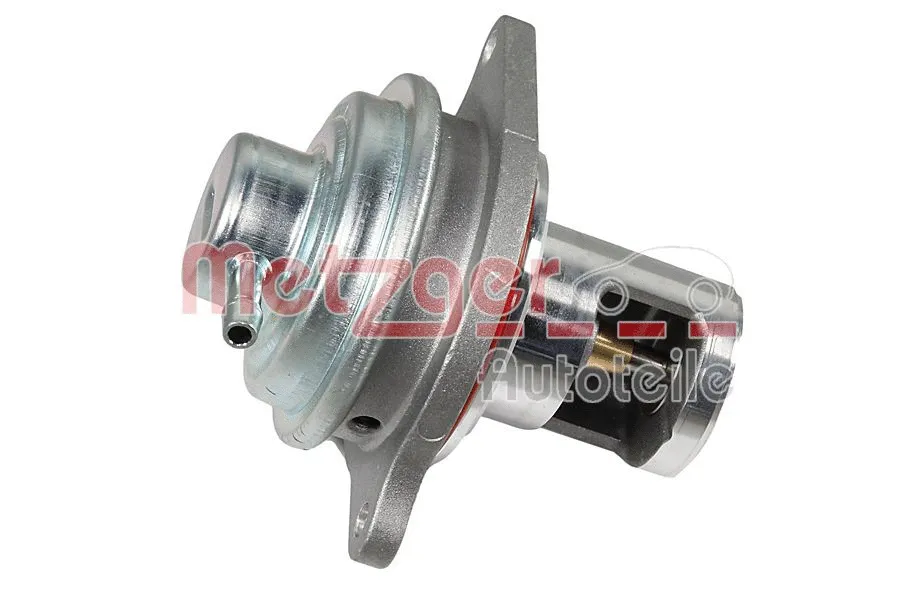 EGR Valve (0892946)