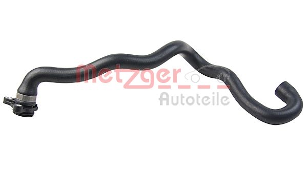 Radiator Hose (2420640)