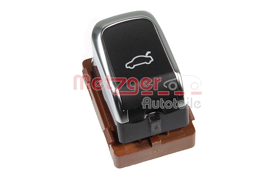 Switch, tailgate (09161058)