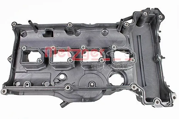 Cylinder Head Cover (2389133)