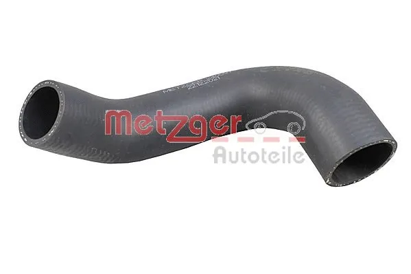 Charge Air Hose (2400973)
