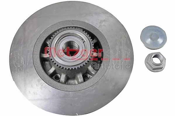 Brake Disc (6110775)