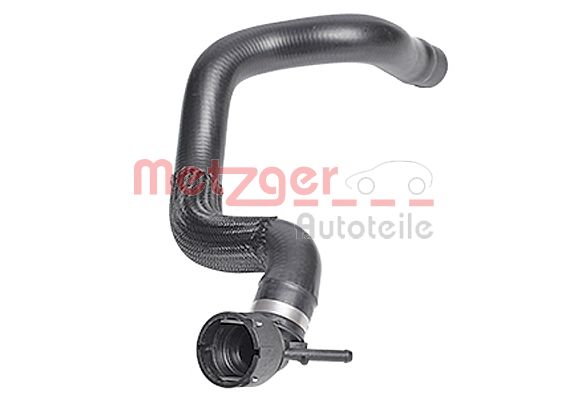 Radiator Hose (2420757)