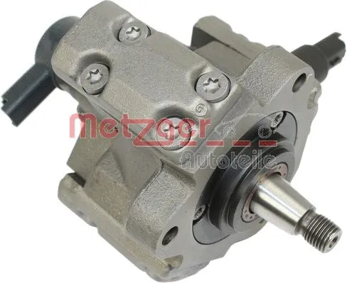 High Pressure Pump (0830033)