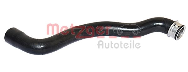Radiator Hose (2420120)