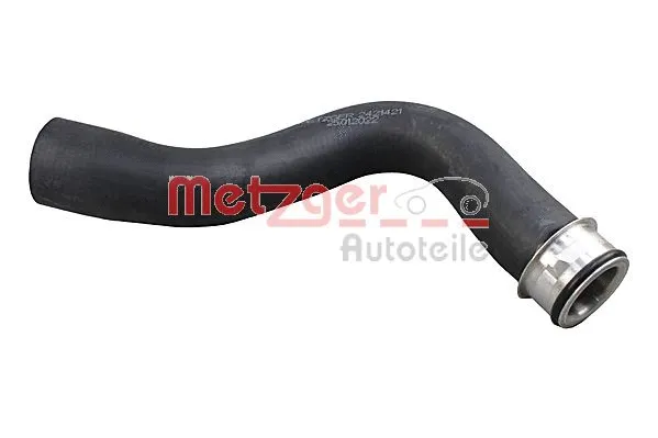 Radiator Hose (2421421)