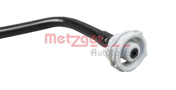 Radiator Hose (2420900)