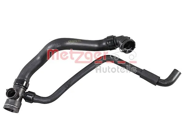 Radiator Hose (2421379)