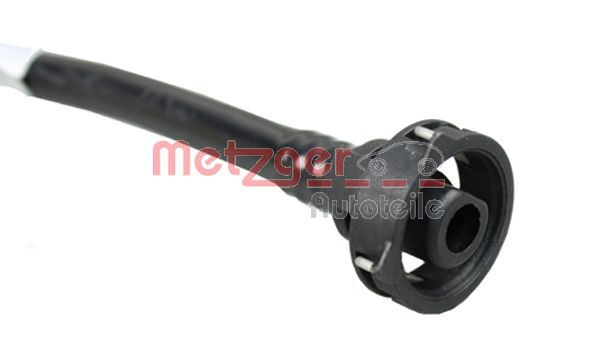 Radiator Hose