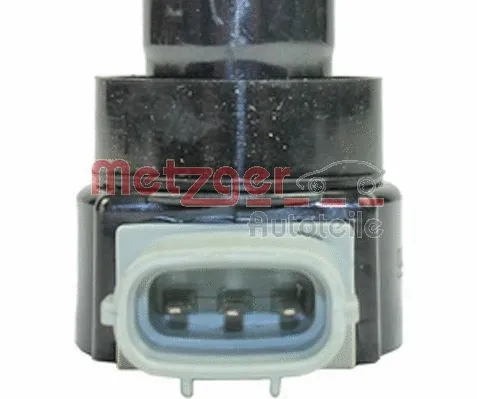 Ignition Coil (0880460)