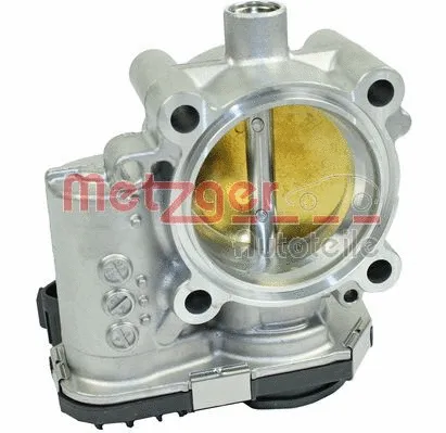 Throttle Body (0892520)