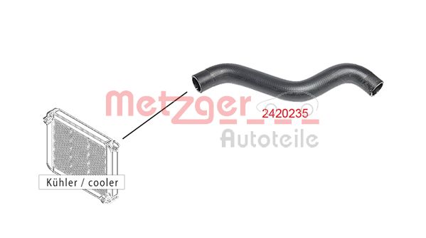 Radiator Hose (2420235)