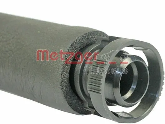 Hose, crankcase ventilation