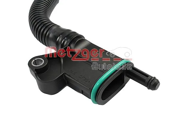Hose, crankcase ventilation (2380110)