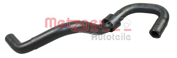 Radiator Hose (2420890)