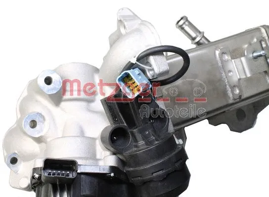 EGR Module