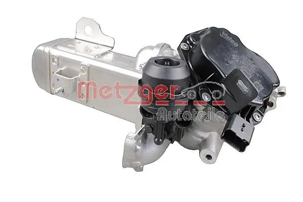 EGR Module