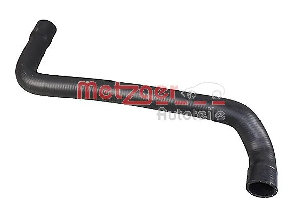 Radiator Hose (2421381)