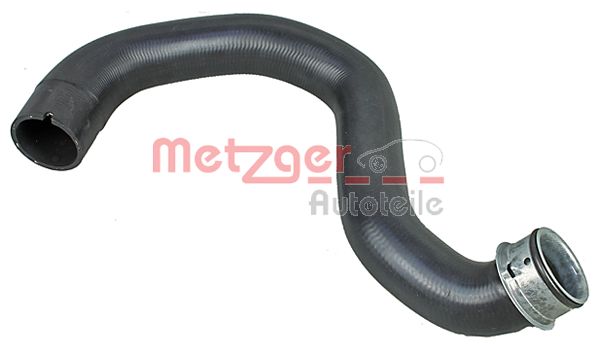 Radiator Hose (2420727)