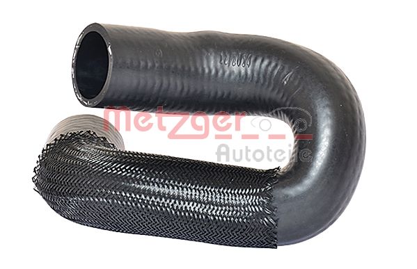 Radiator Hose (2420696)