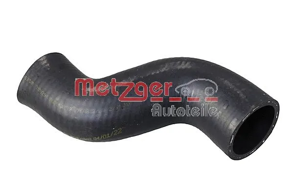 Radiator Hose (2421403)
