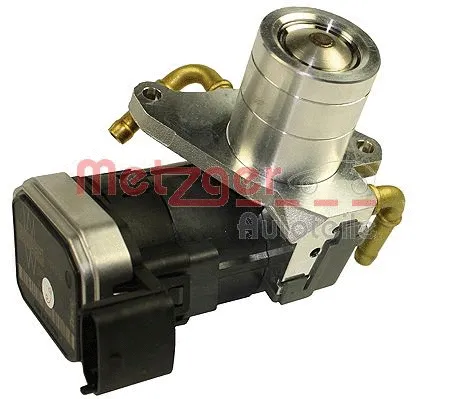 EGR Valve (0892054)