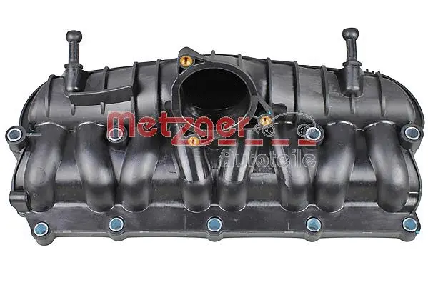 Intake Manifold Module (2100086)