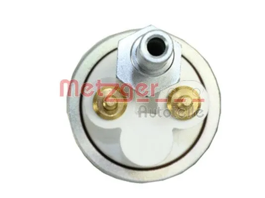 Fuel Pump (2250155)