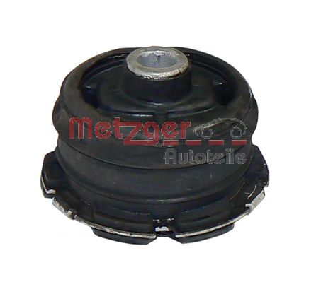 Bushing, axle beam (52040209)