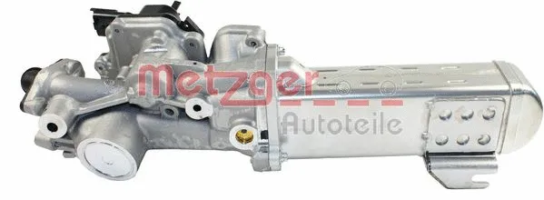 EGR Module