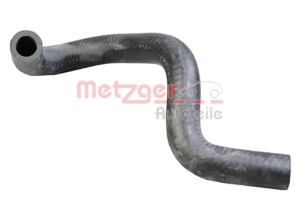 Radiator Hose (2421459)