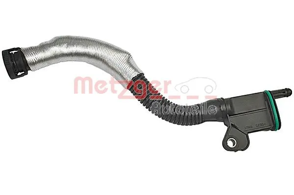 Hose, crankcase ventilation