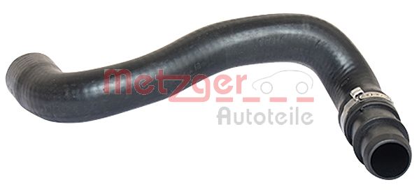 Radiator Hose (2420001)
