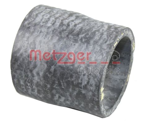 Radiator Hose (2420723)