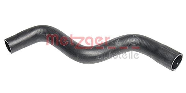 Radiator Hose (2420234)