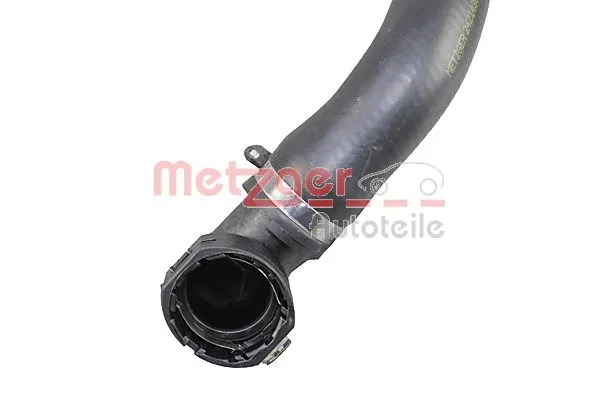Radiator Hose