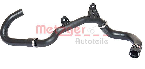Radiator Hose (2420224)
