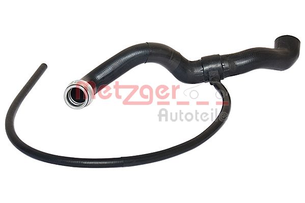 Radiator Hose (2420129)