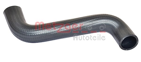 Radiator Hose (2420124)