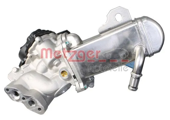 EGR Module