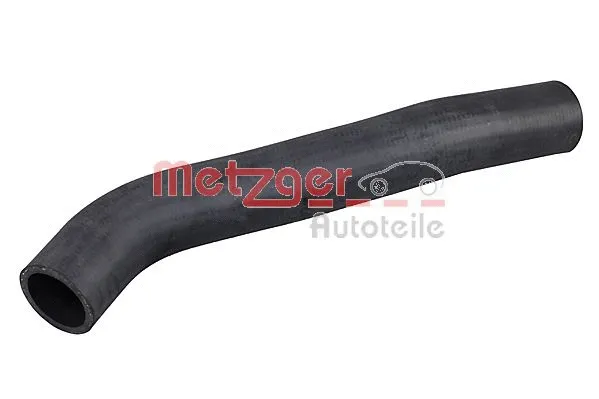 Radiator Hose (2421418)