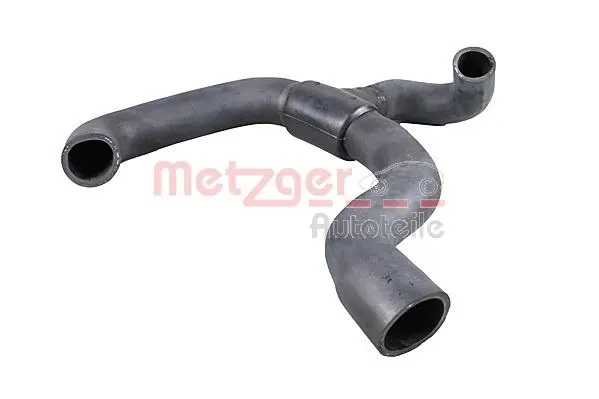 Radiator Hose (2421130)