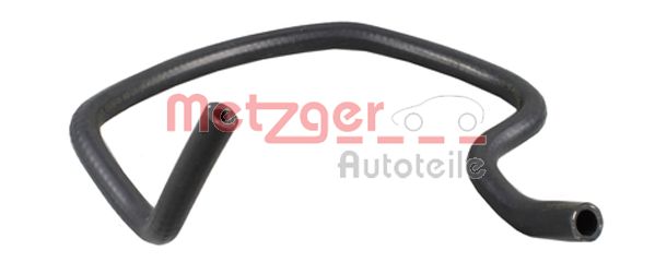 Radiator Hose (2420212)