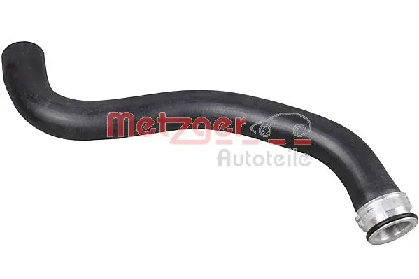 Radiator Hose (2421179)