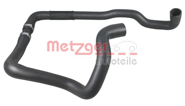 Radiator Hose (2420132)