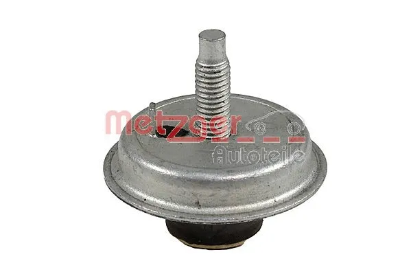 Mounting, engine (8053899)